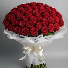 Букет 101 Красная роза Блэк Мэджик в Золотаревке Ставропольского края