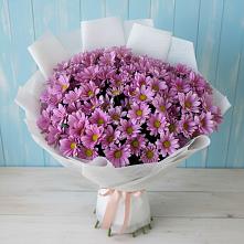 Букет цветов из:  Хризантемы в Золотаревке Ставропольского края