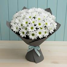 Букет цветов из:  Хризантемы в Золотаревке Ставропольского края