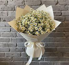 Букет цветов из:  Ромашки в Золотаревке Ставропольского края