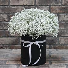 Цветочная композиция из Гипсофила в шляпной коробке в Золотаревке Ставропольского края