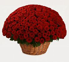 Премиум букет из: Розы в Золотаревке Ставропольского края